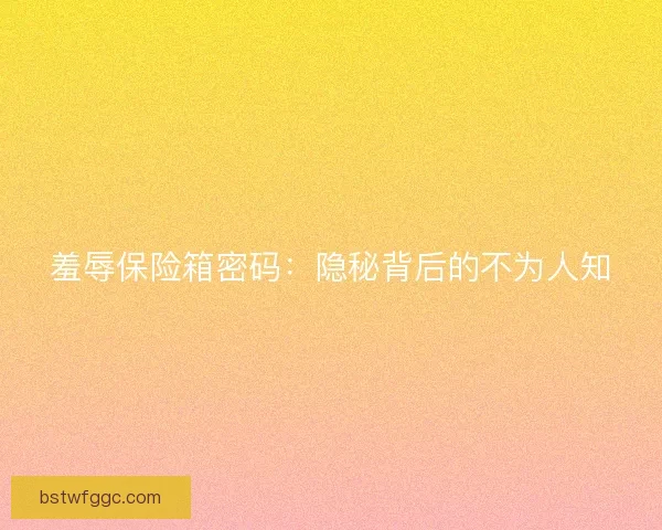羞辱保险箱密码：隐秘背后的不为人知