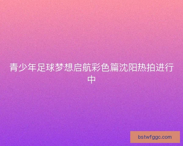 青少年足球梦想启航彩色篇沈阳热拍进行中 青少年足球梦想启航彩色篇沈阳热拍进行中
