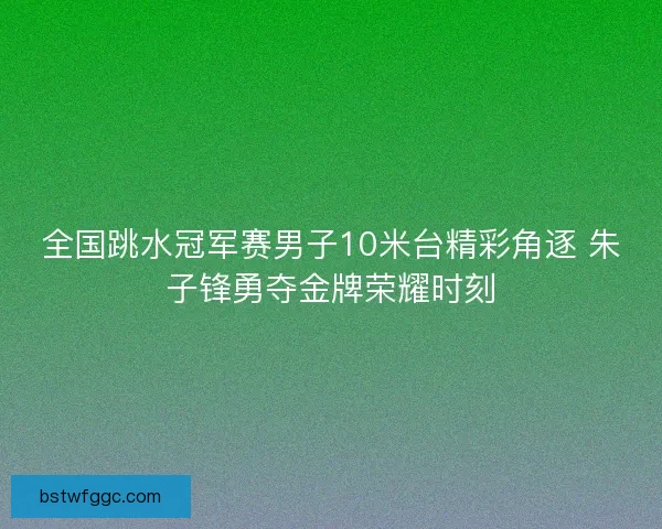 全国跳水冠军赛男子10米台精彩角逐 朱子锋勇夺金牌荣耀时刻 全国跳水冠军赛男子10米台精彩角逐 朱子锋勇夺金牌荣耀时刻